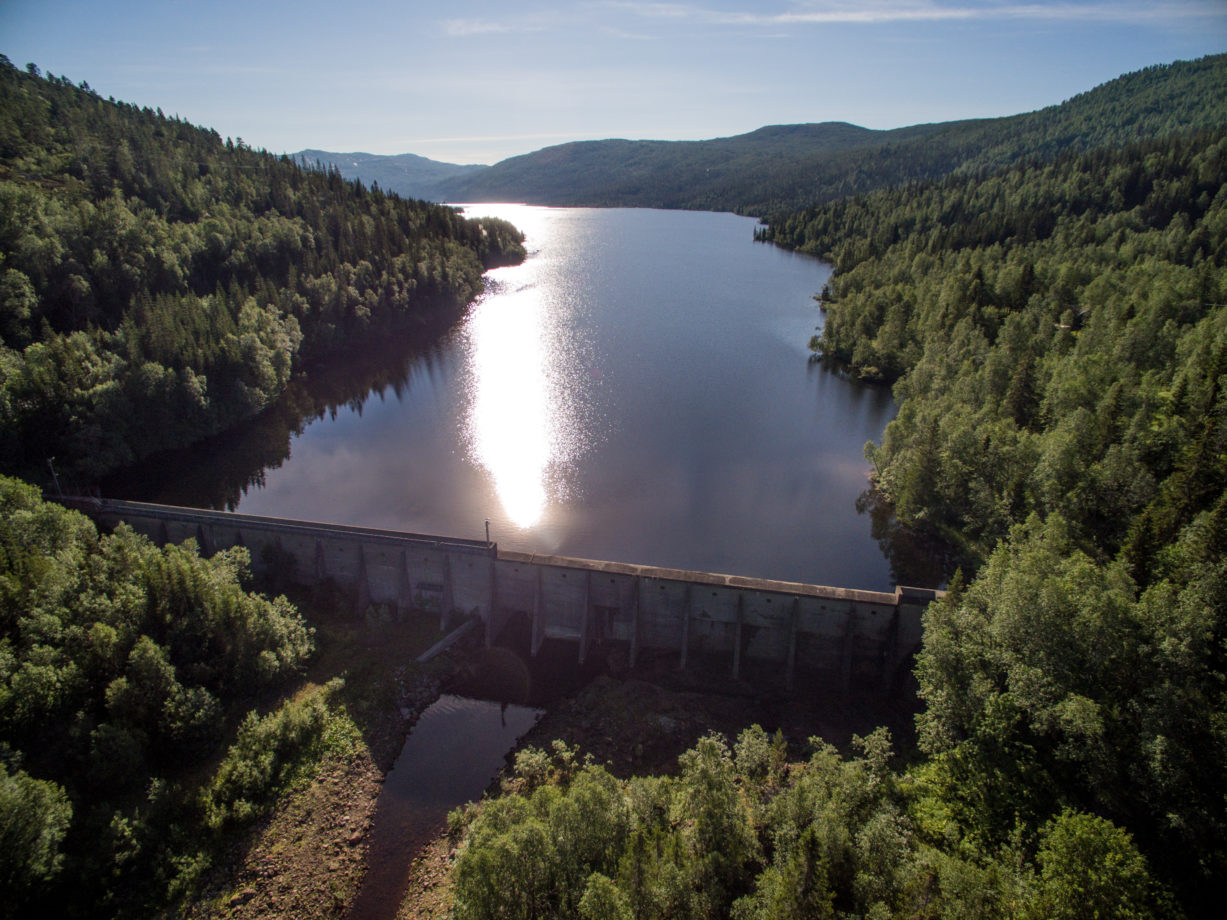 Andfiskvatnet