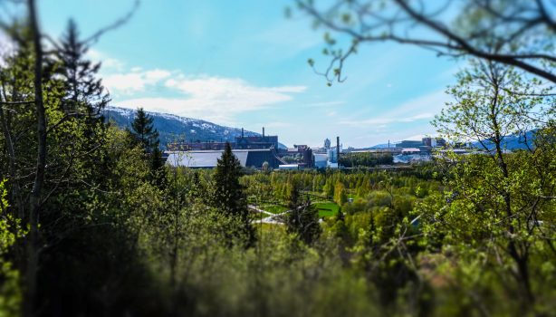 Utsikt over Mo Industripark sett fra skogen